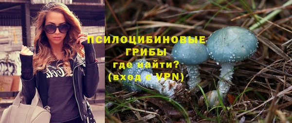 ECSTASY Алексин