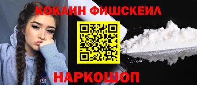 СК Новодвинск