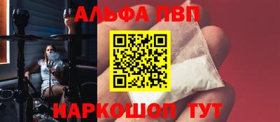 СК Новодвинск