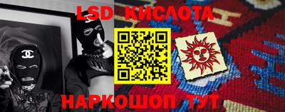 СК Новодвинск