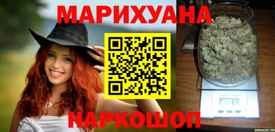 СК Новодвинск