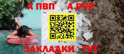 СК Новодвинск