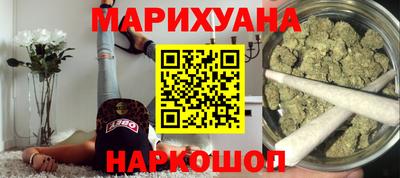 СК Новодвинск