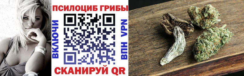как найти   Прохладный  Псилоцибиновые грибы Magic Shrooms 